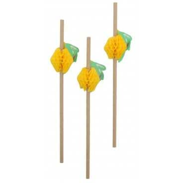 Paie hart orn dr d6x230 fructe 24 100 bx t d6 230 mm 24 100 bx